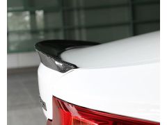 F22 Carbon Rear Spoiler